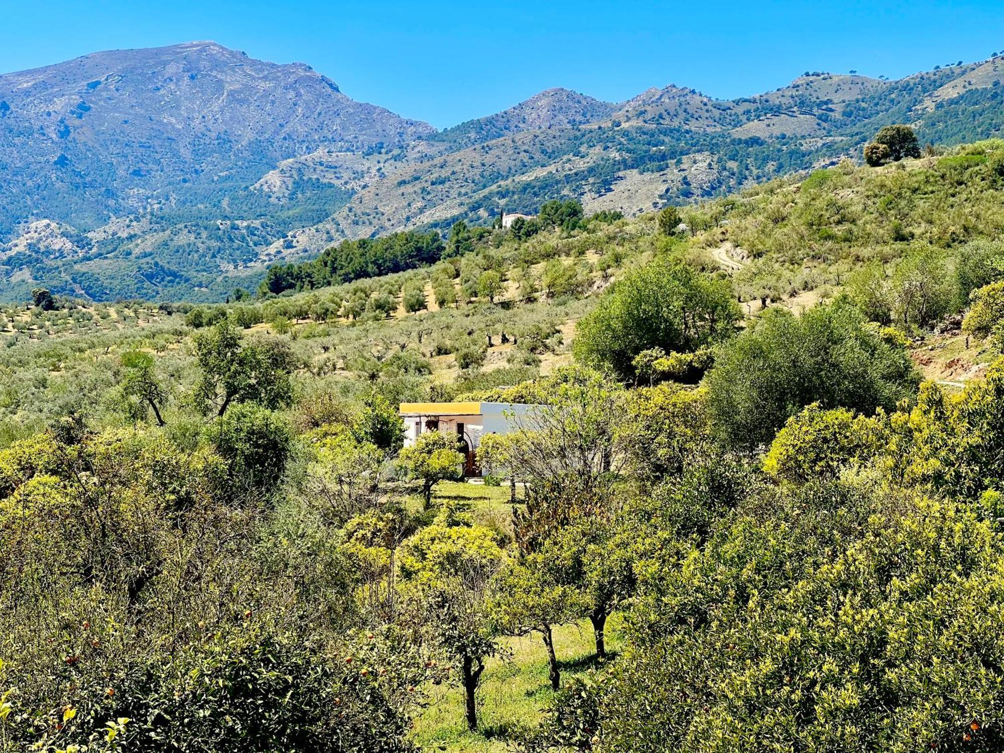 Finca Martina Casarabonela Екстер'єр фото